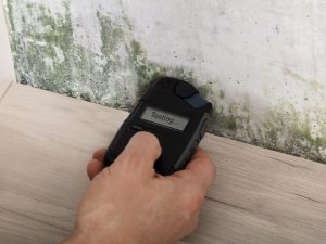 Testing for mold in south Florida