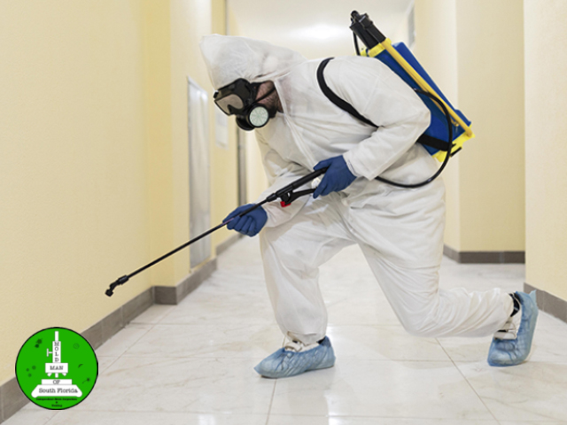 Commercial Mold Remediation – Cutting Edge Solutions