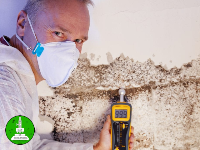 Mold Inspection – Decoding Common Signs and Symptoms